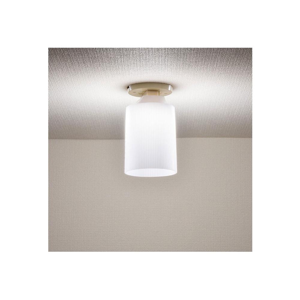Ohm Electric LED Mini Ceiling Light Daylight White