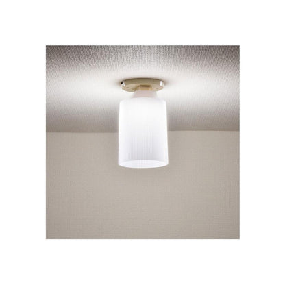 Ohm Electric LED Mini Ceiling Light Daylight White