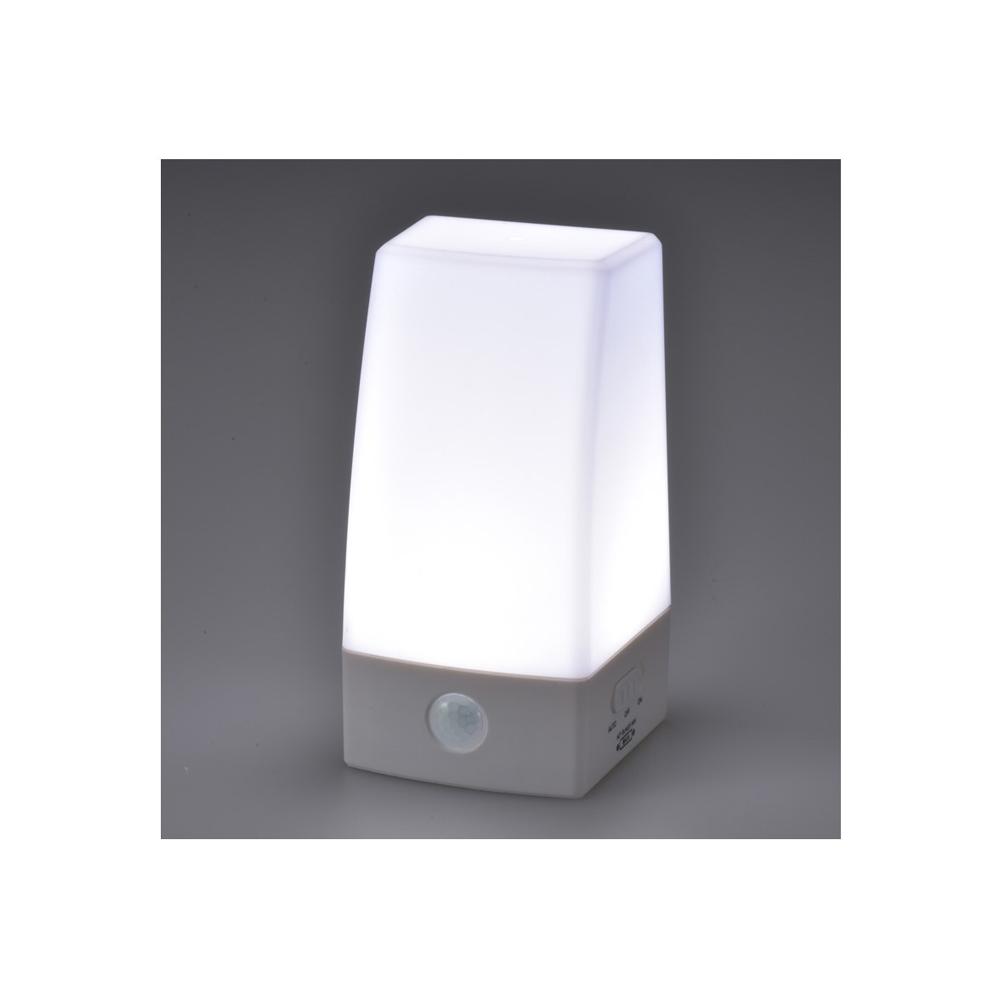 Ohm Electric LED Sensor Light Motion Detection
