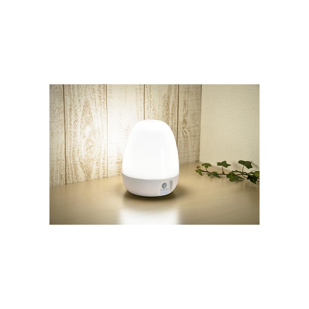 Ohm Electric LED Night Light Motion Sensor Indoor Battery Operated