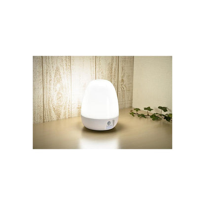 Ohm Electric LED Night Light Motion Sensor Indoor Battery Operated