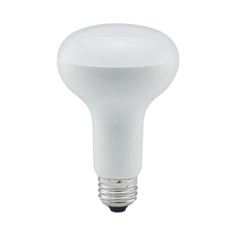 Ohm Electric LED Bulb Reflector E26 Equivalent to 100W