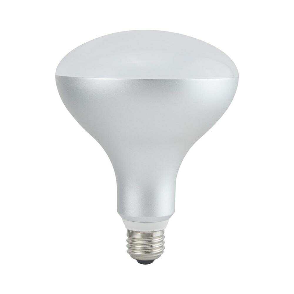Ohm Electric LED Bulb Reflector E26 150W Equivalent Rainproof