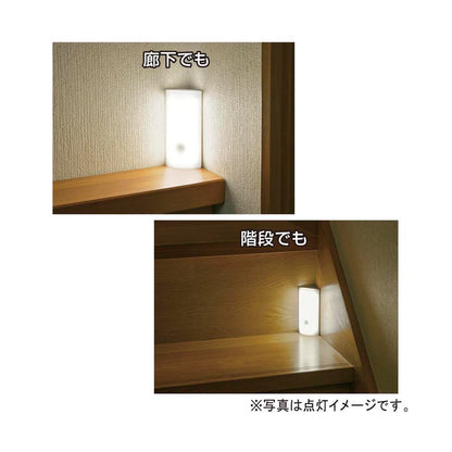 Ohm Electric LED Sensor Light Motion Detection