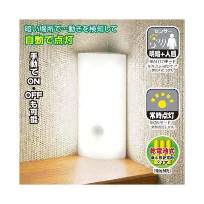 Ohm Electric LED Sensor Light Motion Detection