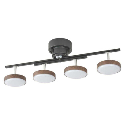 Ohm Electric LED 4-Bulb Ceiling Light