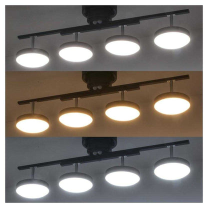 Ohm Electric LED 4-Bulb Ceiling Light
