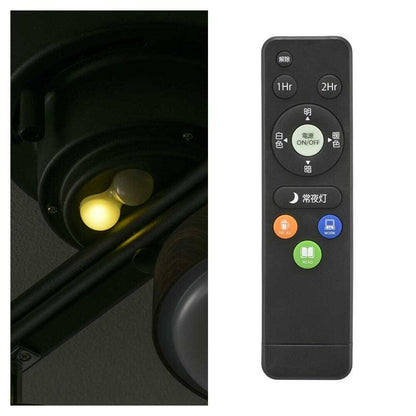 Ohm Electric LED 4-Bulb Ceiling Light