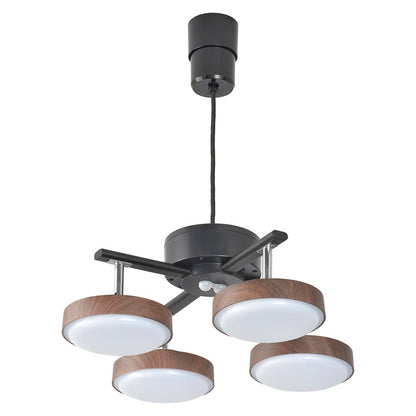 Ohm Electric LED 4-Bulb Pendant Light