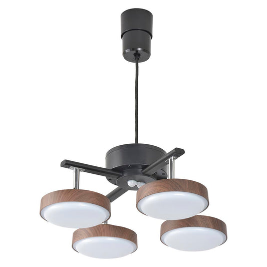 Ohm Electric LED 4-Bulb Pendant Light