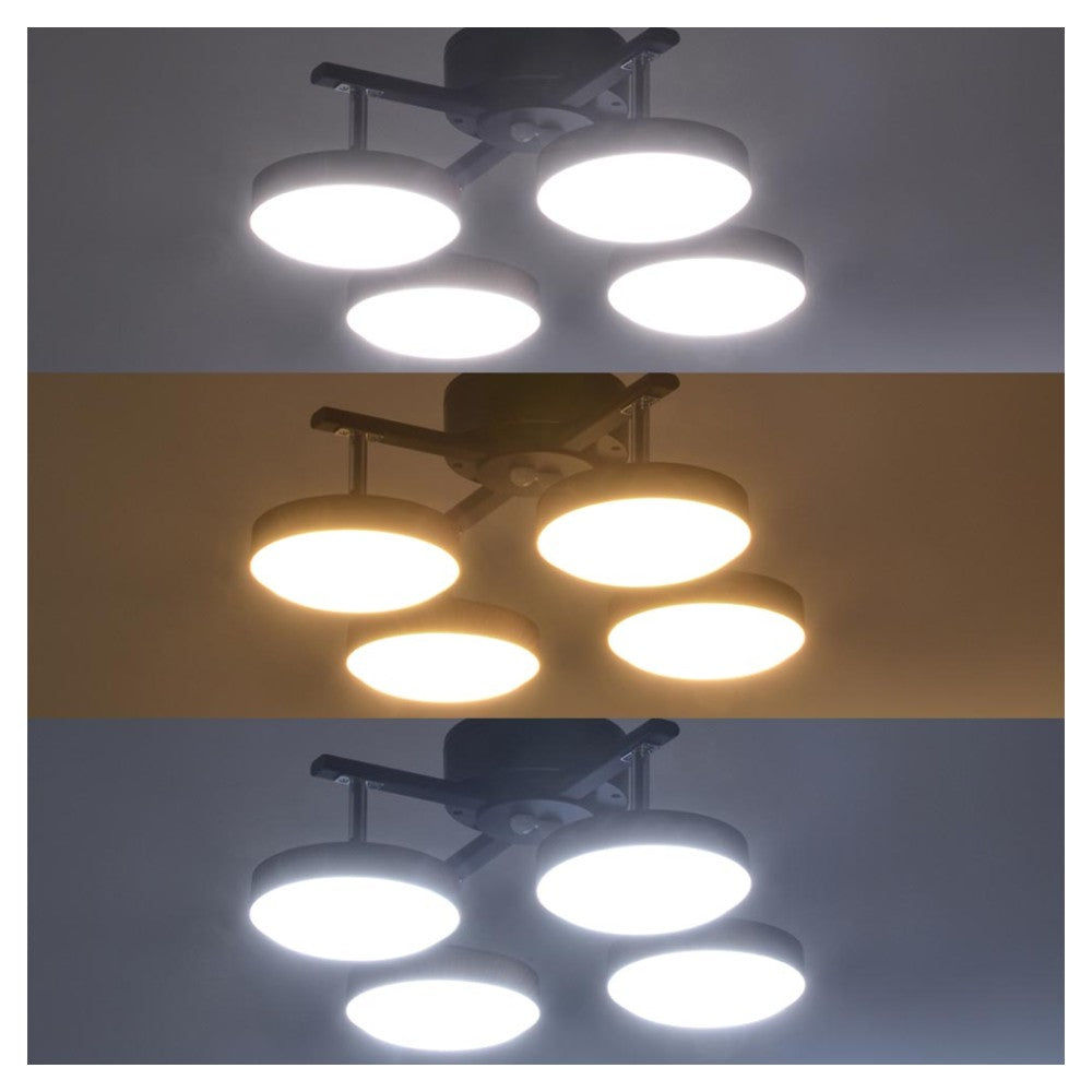 Ohm Electric LED 4-Bulb Pendant Light