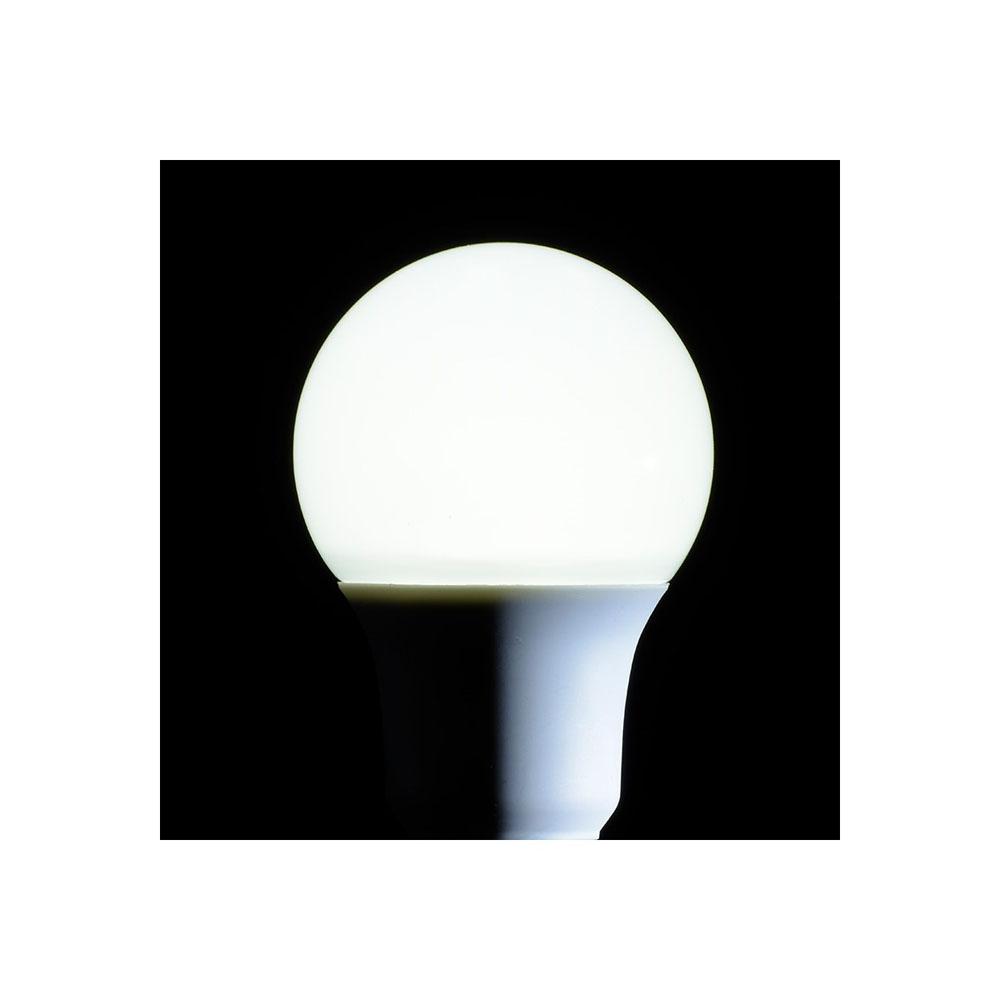 Ohm Electric LED Bulb General Type Equivalent to 40W
