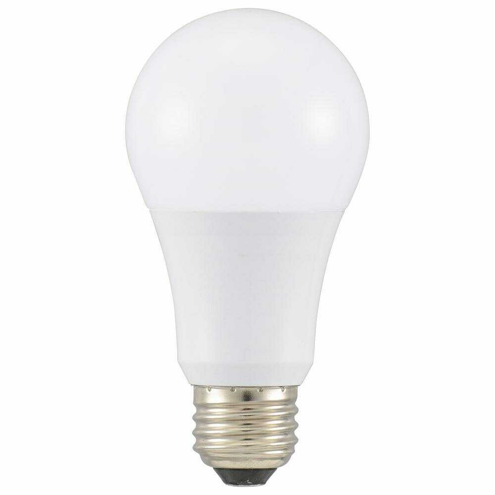 Ohm Electric LED Bulb E26 Equivalent to 100W - 1 Piece