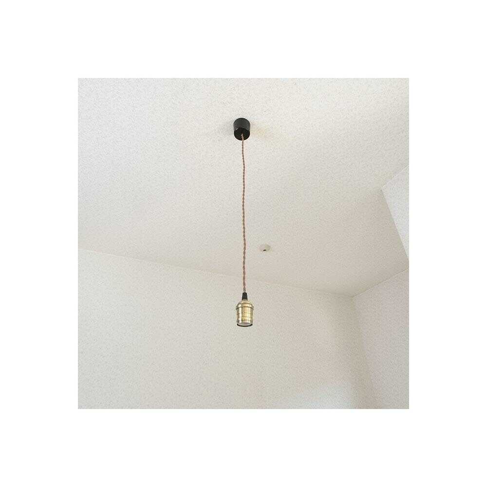 Ohm Electric Pendant Socket Light Type B