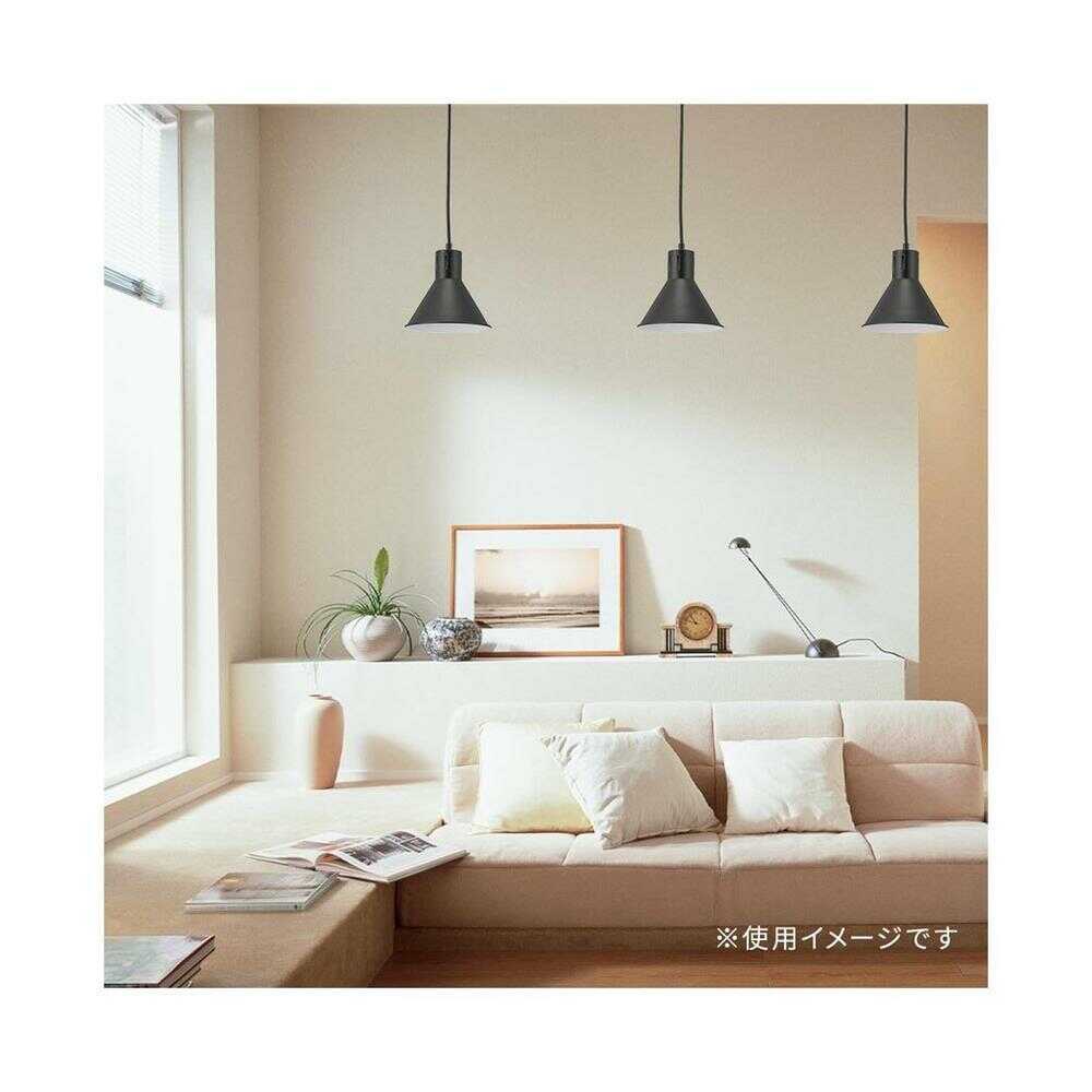 Ohm Electric Pendant Light with Umbrella Shade, Black