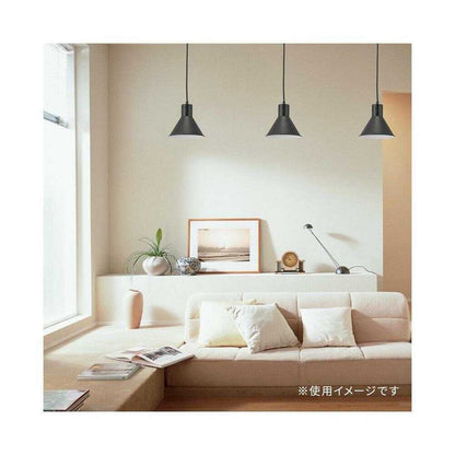 Ohm Electric Pendant Light with Umbrella Shade, Black