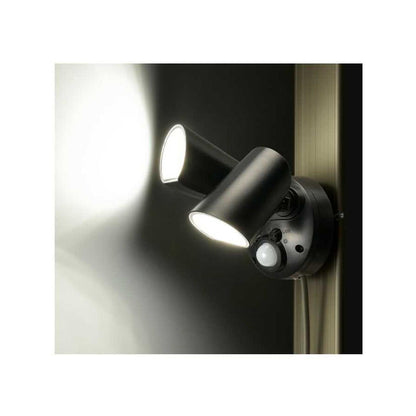 Ohm Electric LED Sensor Light (2 Bulbs)