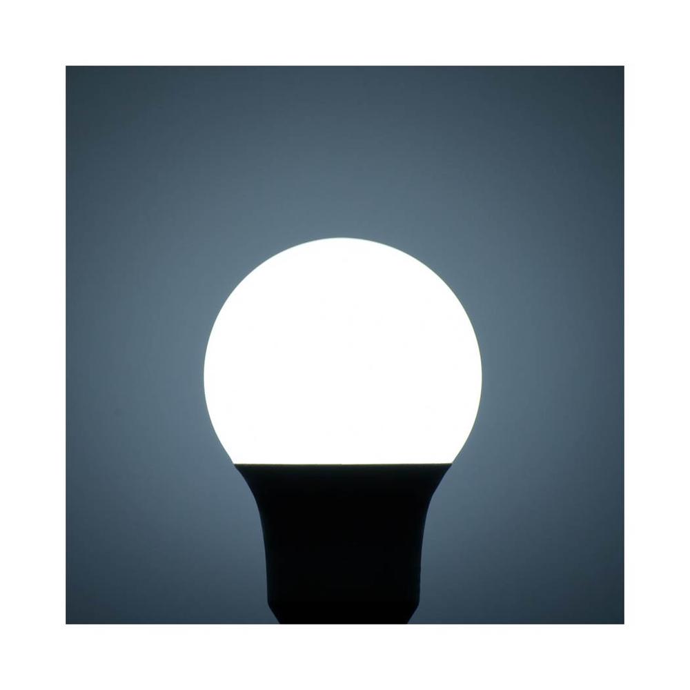 Ohm Electric LED Bulb E26 Equivalent to 20W