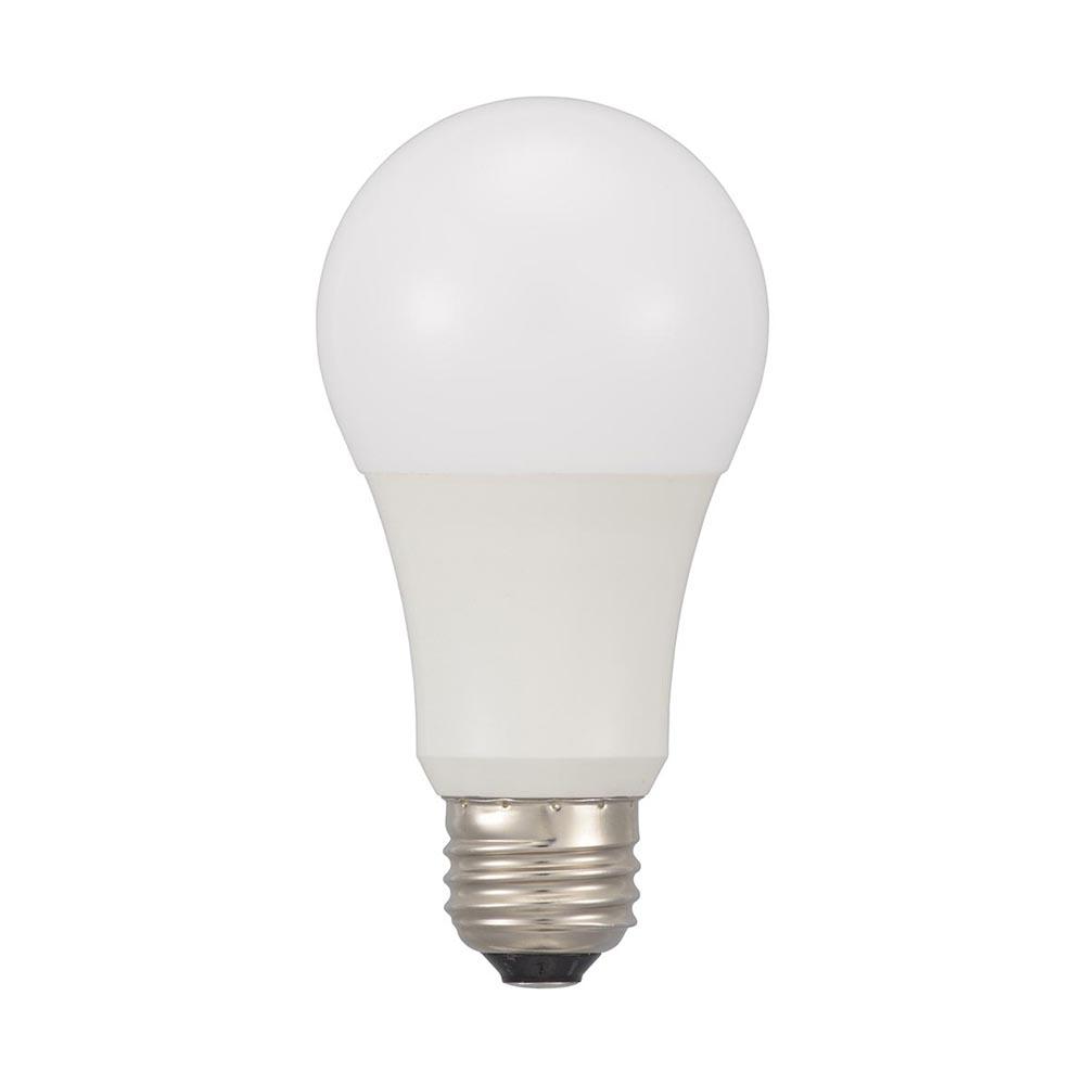 Ohm Electric LED Bulb E26 Equivalent to 100W (2 Pieces)