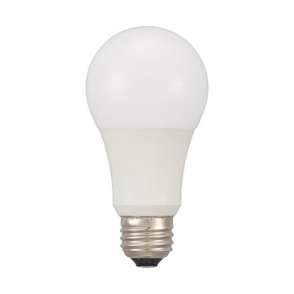 Ohm Electric LED Bulb E26 Equivalent to 100W (2 Pieces)
