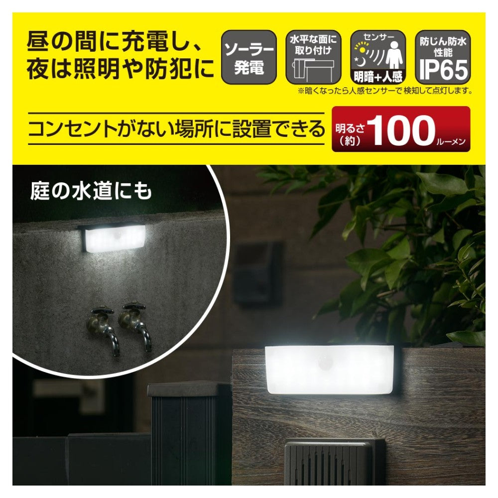 Ohm Electric LED Sensor Wall Light Solar 100 Lumens