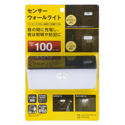 Ohm Electric LED Sensor Wall Light Solar 100 Lumens
