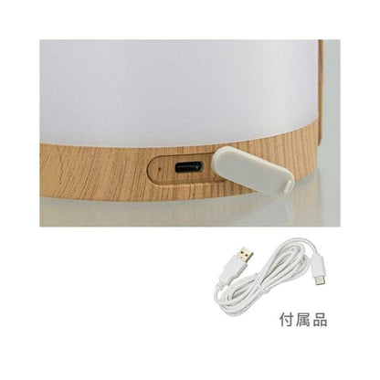 Ohm Electric LED Wood Grain Lamp 1-Pack