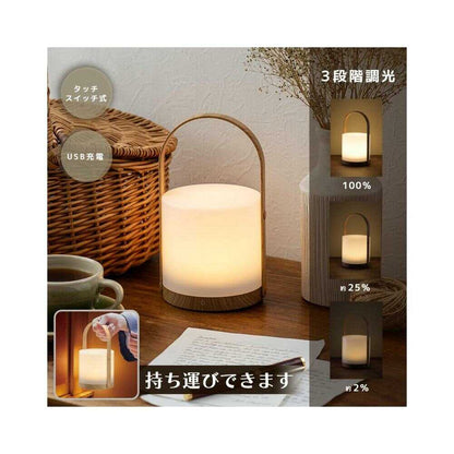 Ohm Electric LED Wood Grain Lamp 1-Pack