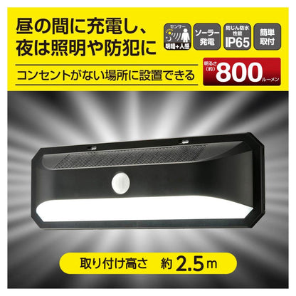 Ohm Electric LED Sensor Wall Light Solar