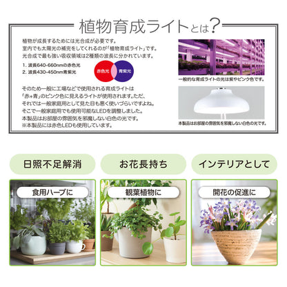 Ohm Electric Plant Growth Light Plug-in Type