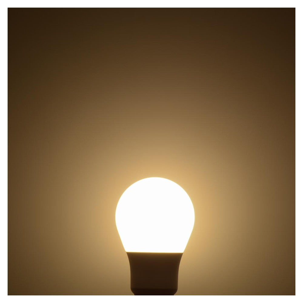 Ohm Electric LED Bulb E26 20W Equivalent Warm White