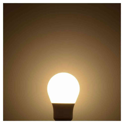 Ohm Electric LED Bulb E26 20W Equivalent Warm White