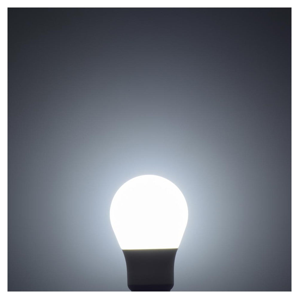 Ohm Electric LED Bulb E26 20W Equivalent Daylight White
