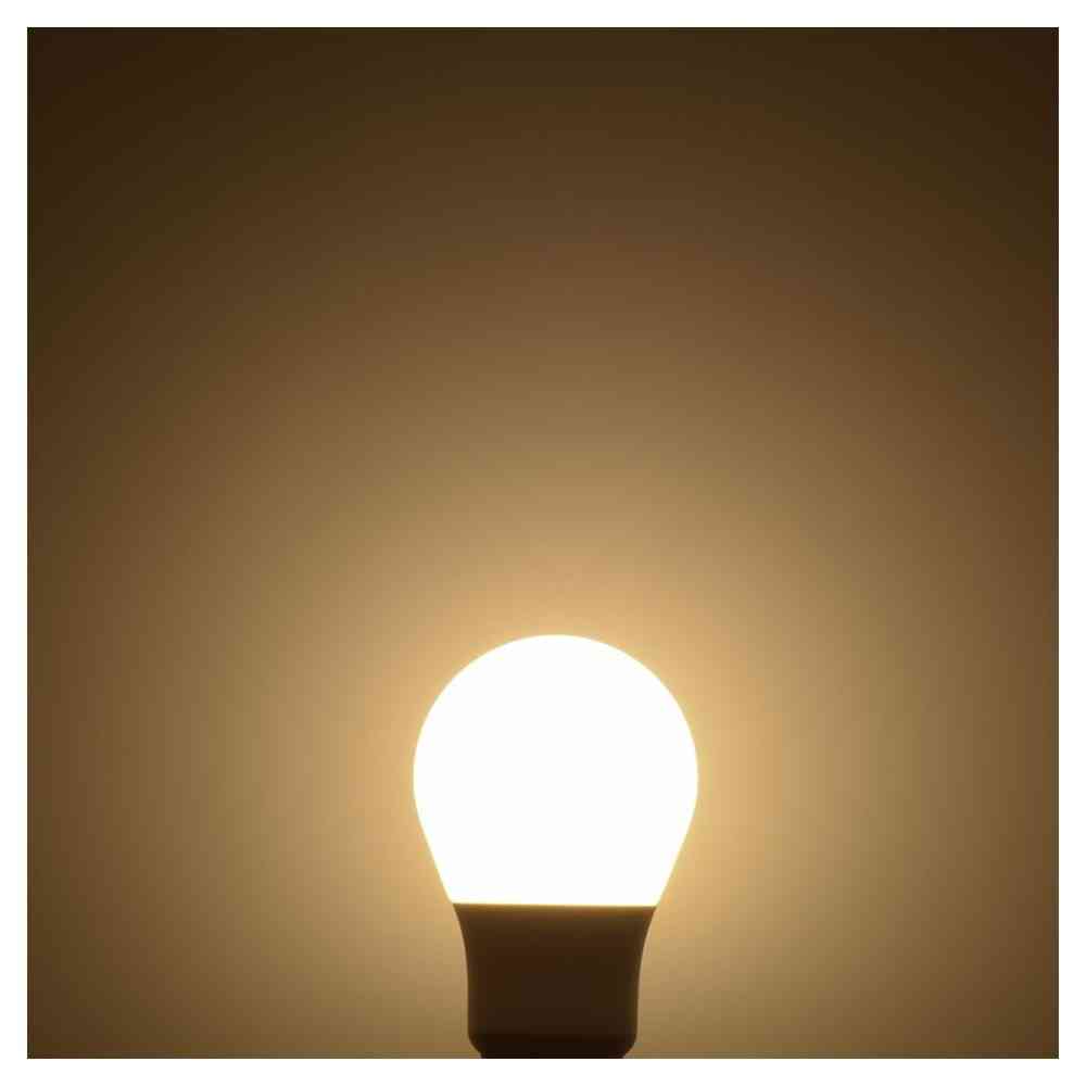 Ohm Electric LED Bulb E26 Equivalent to 40W Warm White (1 unit)
