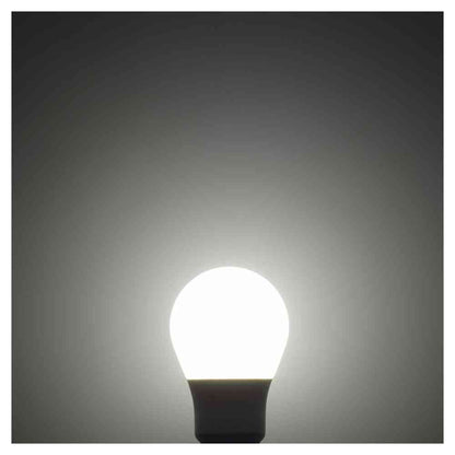 Ohm Electric LED Bulb E26 Equivalent to 40W Daylight (1 unit)