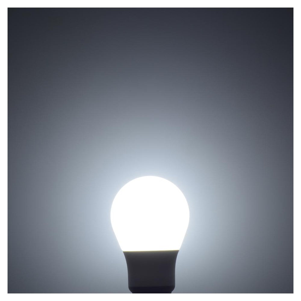Ohm Electric LED Bulb E26 60W Equivalent Daylight White