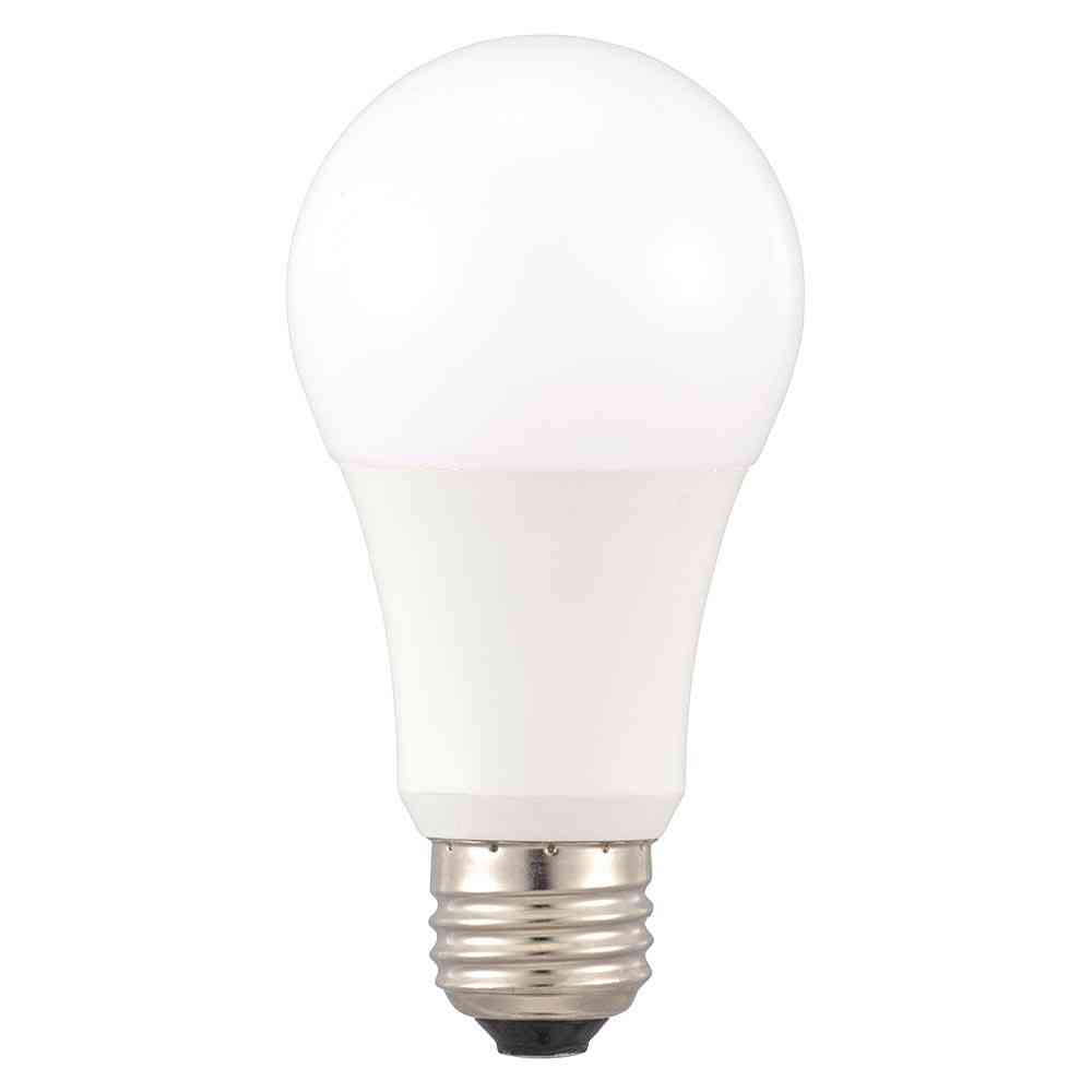Ohm Electric LED Bulb E26 100W Equivalent Warm White