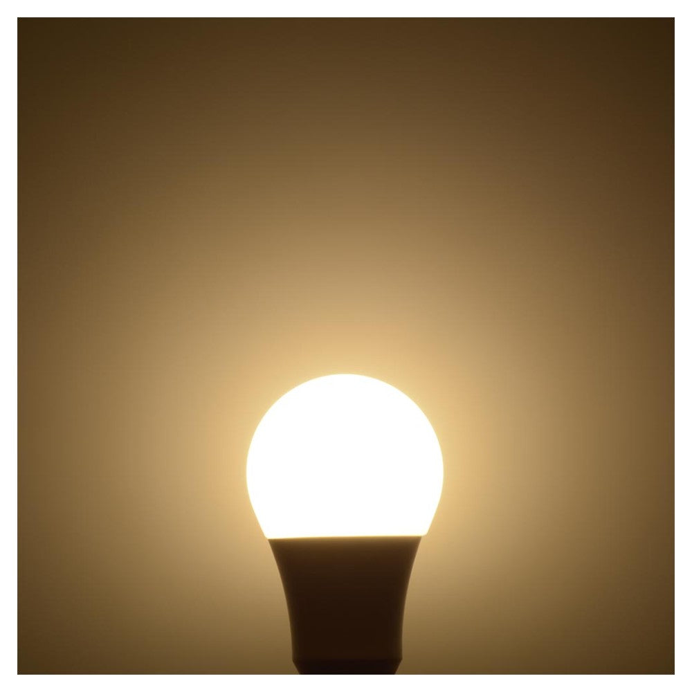 Ohm Electric LED Bulb E26 100W Equivalent Warm White