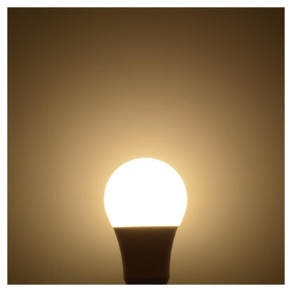 Ohm Electric LED Bulb E26 100W Equivalent Warm White