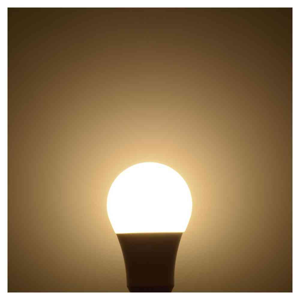 Ohm Electric LED Bulb E26 100W Equivalent Warm White
