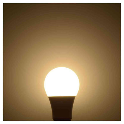 Ohm Electric LED Bulb E26 100W Equivalent Warm White