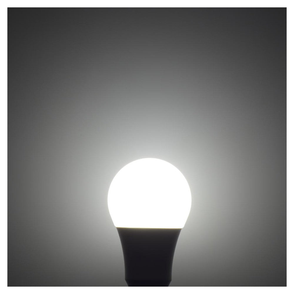 Ohm Electric LED Bulb E26 Equivalent to 100W Daylight (1 unit)