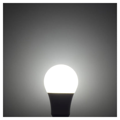 Ohm Electric LED Bulb E26 Equivalent to 100W Daylight (1 unit)