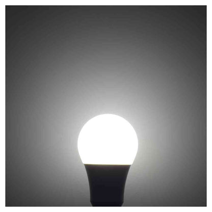 Ohm Electric LED Bulb E26 Equivalent to 100W Daylight (1 unit)