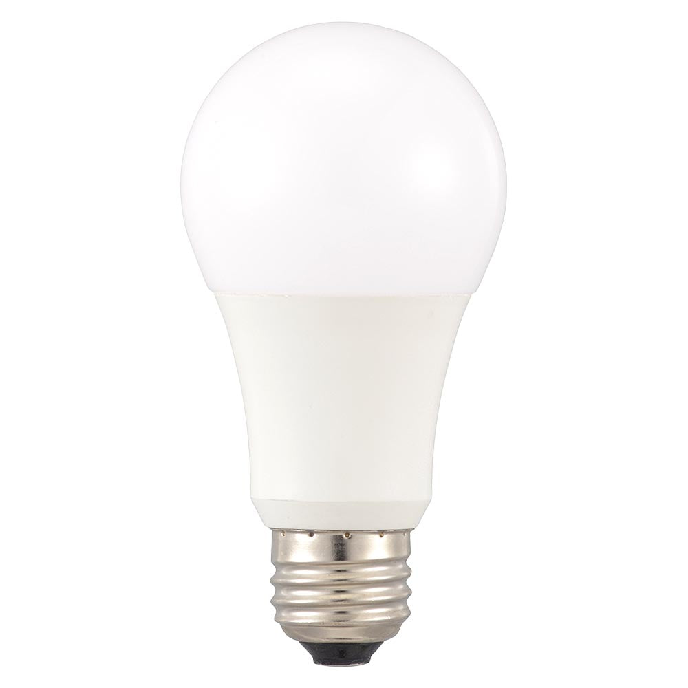Ohm Electric LED Bulb E26 Equivalent to 100W Daylight (1 unit)