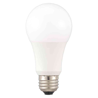 Ohm Electric LED Bulb E26 Equivalent to 100W Daylight (1 unit)