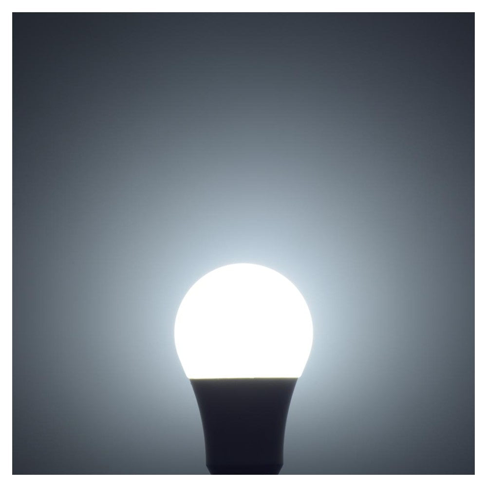 Ohm Electric LED Bulb E26 Equivalent to 100W Daylight (1 unit)