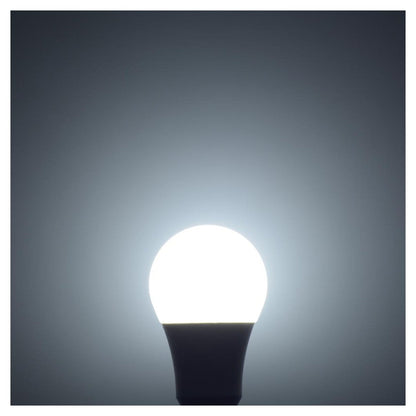 Ohm Electric LED Bulb E26 Equivalent to 100W Daylight (1 unit)