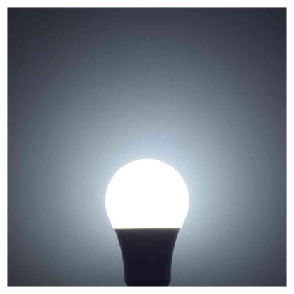Ohm Electric LED Bulb E26 Equivalent to 100W Daylight (1 unit)