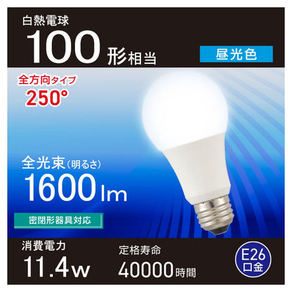 Ohm Electric LED Bulb E26 Equivalent to 100W Daylight (1 unit)